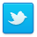 twitter-icon